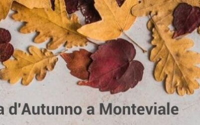 Festa d’Autunno a Monteviale